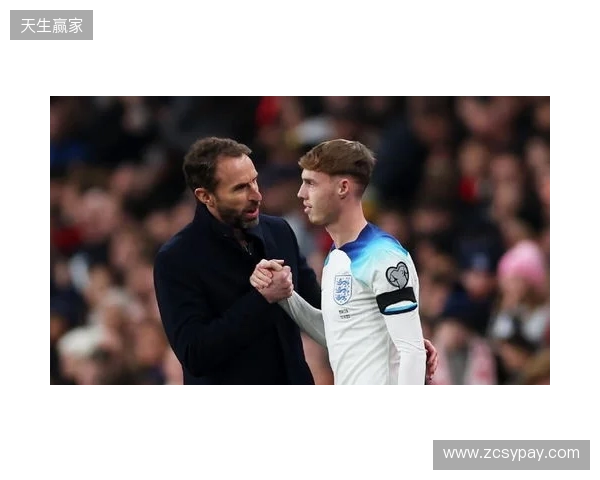 图赫尔谈10号位：一阶段考察帕尔默&福登；二阶段贝林&罗杰斯